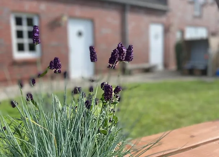 Apartamento Sybille Sonnenbrille Wulfen auf Fehmarn